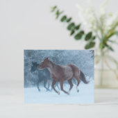 Carte Postale Conduite de chevaux (Debout devant)