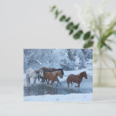 Carte Postale Conduite de chevaux en hiver (Debout devant)