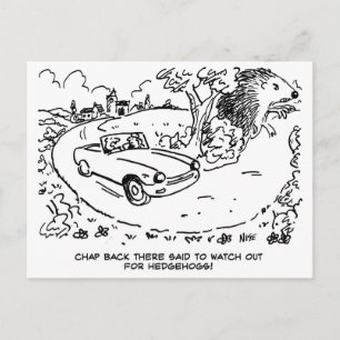 Carte Postale Conduite de voiture de sport à la campagne. Drôle