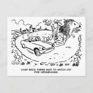 Carte Postale Conduite d'une voiture de sport à la campagne avec