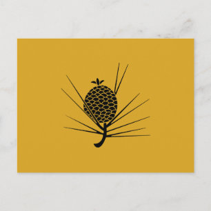 Carte Postale cône de pin aiguille