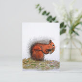 Carte Postale Cône de pin écureuil roux (Debout devant)