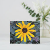 Carte Postale Coneflower 1 - educedbrainfart (Debout devant)