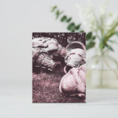 Carte Postale cônes de crème glacée d'été en fibre de verre (Debout devant)