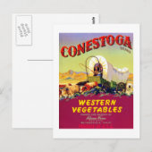 Carte Postale Conestoga Western Vegetables (Devant / Derrière)