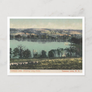 Carte Postale Conesus Lake NY, Long Point View 1905