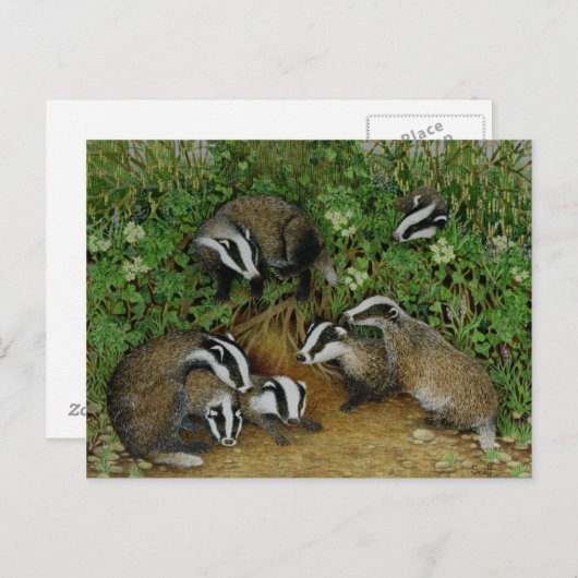 Carte Postale Configuration (Devant / Derrière)