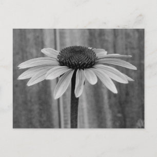 Carte Postale Confleur