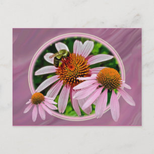 Carte Postale Confleur et abeille
