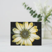 Carte postale Confleur Jaune Fleur de Miel (Debout devant)