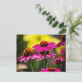 Carte Postale Confleur pourpre (Debout devant)