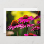 Carte Postale Confleur pourpre (Devant / Derrière)