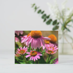 Carte Postale confleurs violets éclatants