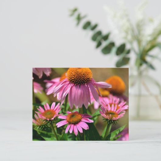 Carte Postale confleurs violets éclatants (Debout devant)
