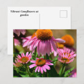 Carte Postale confleurs violets éclatants (Devant / Derrière)