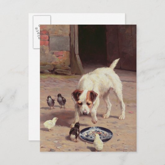 Carte Postale Confrontation (Devant / Derrière)