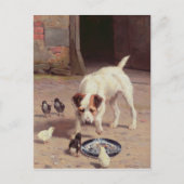 Carte Postale Confrontation (Devant)