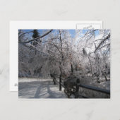 Carte Postale Congelé (Devant / Derrière)