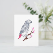 CARTE POSTALE CONGO AFRICAN GRAY PARROT (Debout devant)