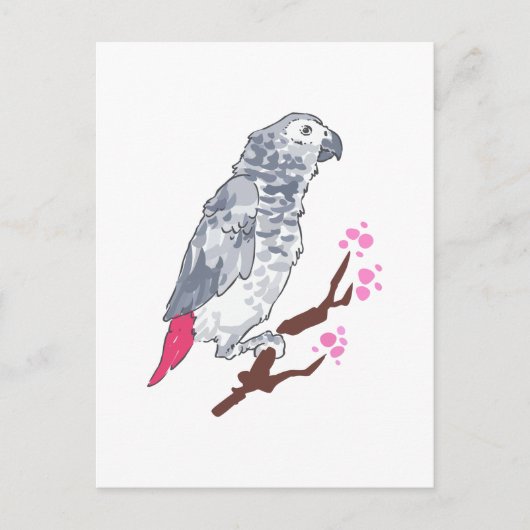 CARTE POSTALE CONGO AFRICAN GRAY PARROT (Devant)