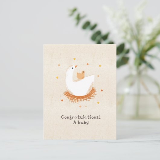 Carte Postale Congratulations a baby chick (Debout devant)