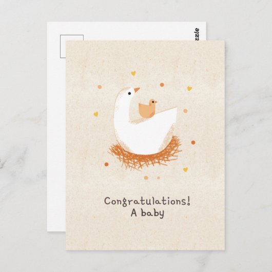 Carte Postale Congratulations a baby chick (Devant / Derrière)