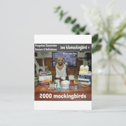 Carte Postale Connaissance Chien Oublié Conversion kilomockingbi (Debout devant)