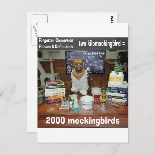 Carte Postale Connaissance Chien Oublié Conversion kilomockingbi (Devant / Derrière)