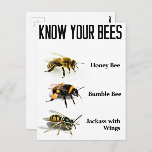 Carte Postale Connaissez vos abeilles (Devant / Derrière)
