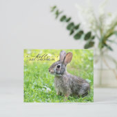 Carte postale connectée (Debout devant)