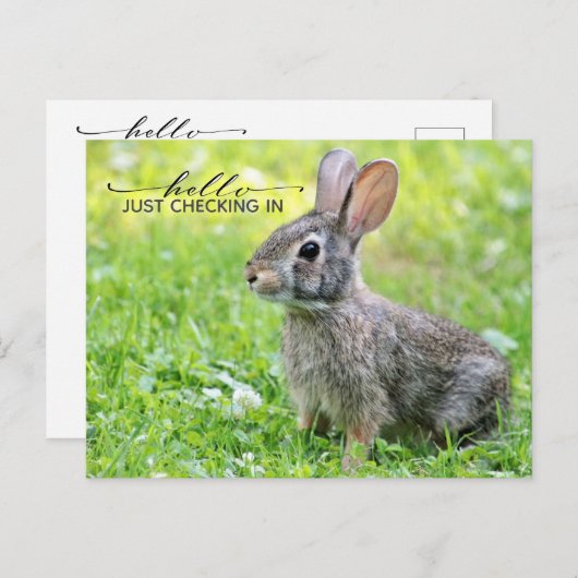 Carte postale connectée (Devant / Derrière)