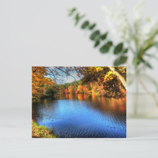 Carte Postale Connecticut - (Debout devant)