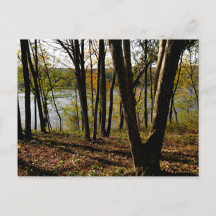 Carte Postale Connecticut