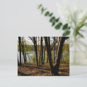 Carte Postale Connecticut (Debout devant)