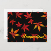 Carte postale Connecticut Autumn Leaves (Devant / Derrière)