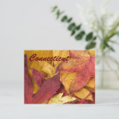 Carte postale Connecticut Autumn Leaves (Debout devant)