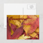 Carte postale Connecticut Autumn Leaves (Devant / Derrière)