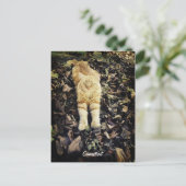 Carte postale Connecticut Kitty (Debout devant)