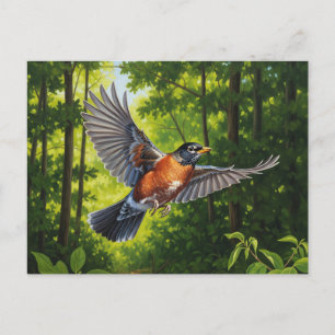 Carte Postale Connecticut State Bird American Robin