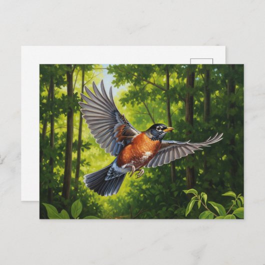 Carte Postale Connecticut State Bird American Robin (Devant / Derrière)