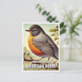 Carte Postale Connecticut State Bird American Robin (Debout devant)