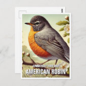 Carte Postale Connecticut State Bird American Robin (Devant / Derrière)