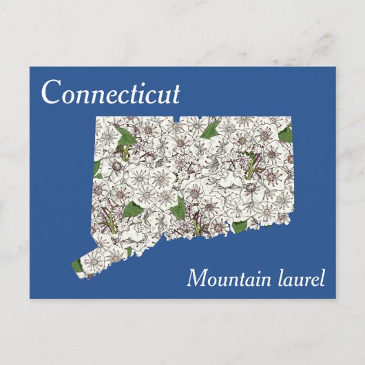 Carte Postale Connecticut State Flower Collation Map (Devant)
