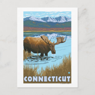 Carte Postale ConnecticutMoose Boire dans le lac