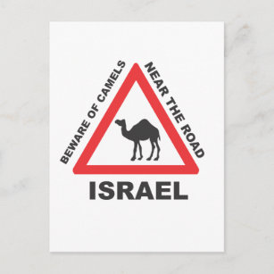 Carte Postale Connexion à un chameau en Israël