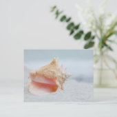 Carte Postale Conque Shell (Debout devant)