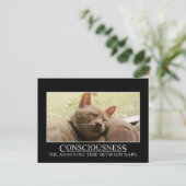 Carte Postale Conscience : le temps agaçant entre les siestes (Debout devant)
