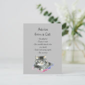 Carte Postale Conseil d'un Humour animal amusant de chats (Debout devant)