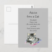 Carte Postale Conseil d'un Humour animal amusant de chats (Devant / Derrière)