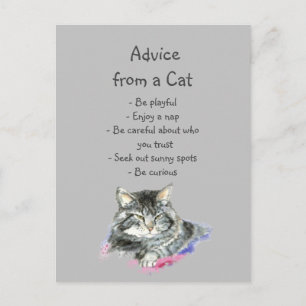 Carte Postale Conseil d'un Humour animal amusant de chats